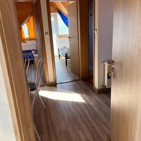 Csikos *