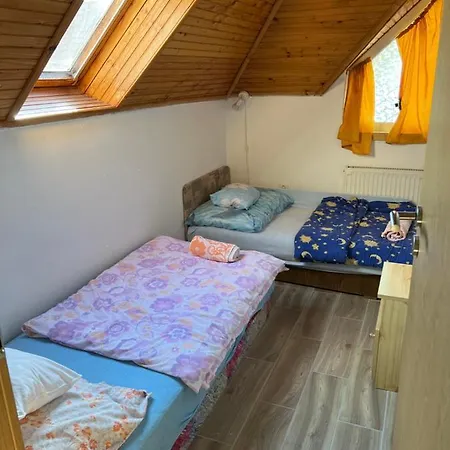 Csikós